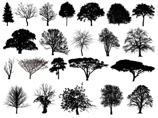  Various Trees Silhouette Models