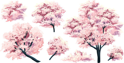 Free vector japan sakura cherry branch blossom with blooming flowers design constructor © miyi