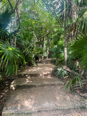 Obraz premium Rainy Streets of Tulum, Mexico 