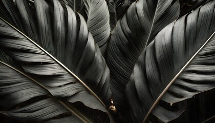 abstract black leaves, a textured tropical leaf background, leaves on black background