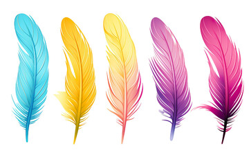 Collection of colorful feathers isolated on white PNG