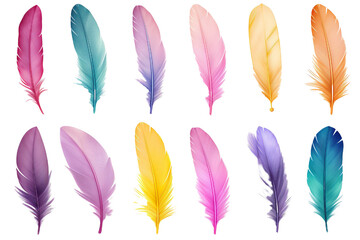 Collection of colorful feathers isolated on white PNG
