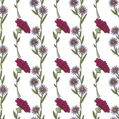 Free vector botanic herbs & wild flowers in vintage style