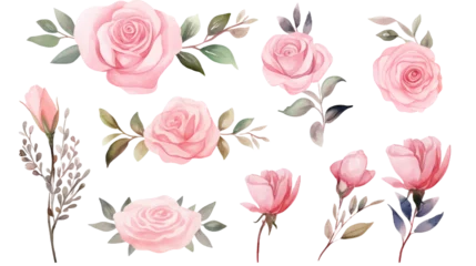 Fotobehang Watercolor elements pink roses on a white background © WARIT_S