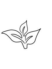 Daun tropis dengan gaya doodle. Elemen desain garis hitam vektor ditarik tangan. Ilustrasi botani musim panas eksotis. © Hasbi