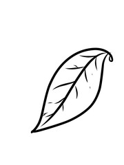 Daun tropis dengan gaya doodle. Elemen desain garis hitam vektor ditarik tangan. Ilustrasi botani musim panas eksotis. © Hasbi