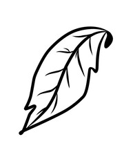 Daun tropis dengan gaya doodle. Elemen desain garis hitam vektor ditarik tangan. Ilustrasi botani musim panas eksotis. © Hasbi