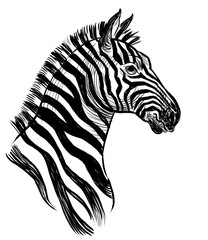 Zebra head. Hand-drawn black and white illustration