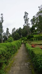 Beautiful scenic garden of Chettiar park,Kodaikanal.