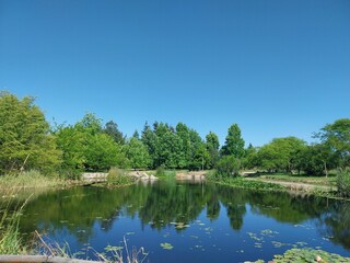Obraz premium lake in the park