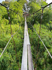 suspension bridge over a river in the jungle
