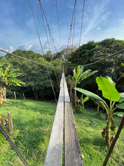 suspension bridge over a river in the jungle
