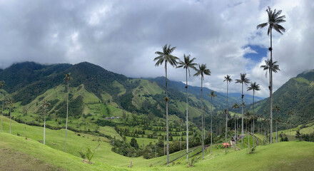 Panoramic view of Cocora Valley in Colombia with the majestic mountains in the background