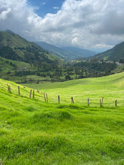Cocora Valley in Colombia looking out into the majestic mountain valley with a fence line in the foreground