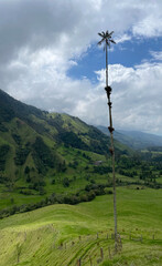 Cocora Valley in Colombia looking out into the majestic mountain valley