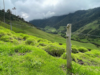 Countryside landscape with grass and clouds in Cocora Valley 