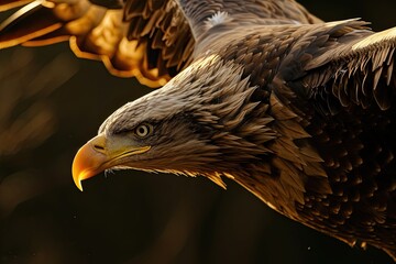 Portrait macro Eagle flying over the sky with light exposure AI Generative