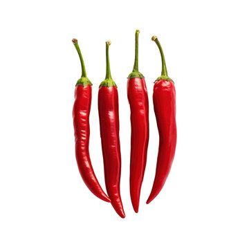 red hot chili peppers isolate on transparency background png 