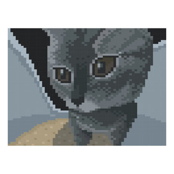 Funny cat, pixel art meme