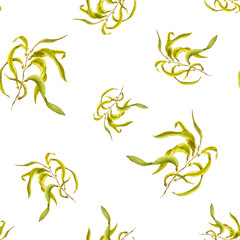 Ocean floating plants. Seaweed, yellow green algae. Seamless pattern. Hand painted watercolor illustration with fresh kelps. Underwater grass on white. For textile, print, wrapping