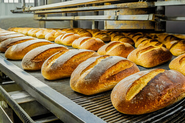 Using an automated conveyor belt oven in bakery, fresh bread can be produced Generation AI