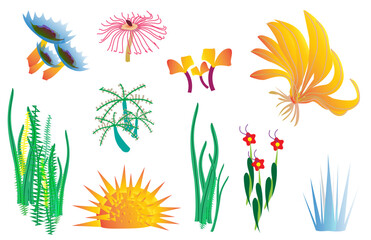 set of corals and or plants