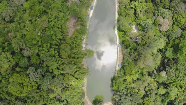 Aerial view of the vibrant green world of Kampong Orang Asli in all its glory