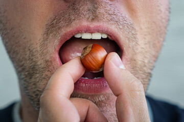 Eating hard nuts. strong white teeth bite nut. An open mouth with a nut. crack the hazelnut shell.