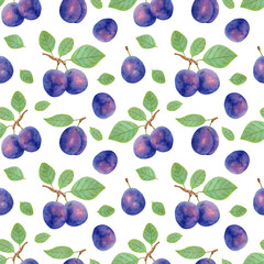 Seamless fruit pattern of purple plums with leaves.Botanical illustration with markers and watercolour.Background of plum fruits for the design of food packaging, tablecloths. Hand drawn illustration.