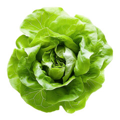 fresh green lettuce leaves isolated on transparent png