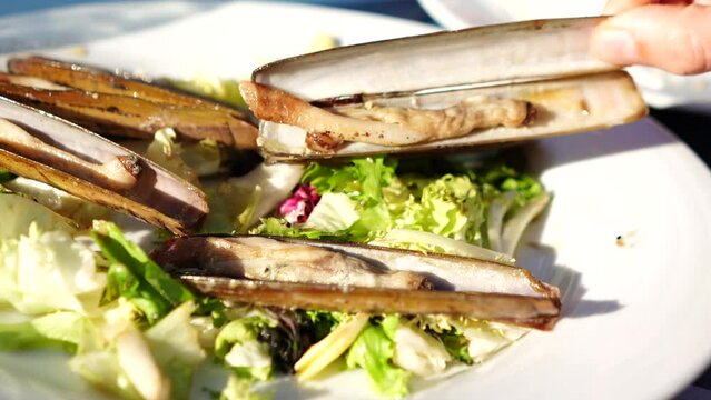 hand taking grilled sea clam on white plate with lettuce