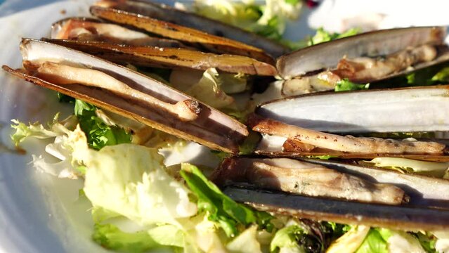 grilled sea clams on lettuce salad