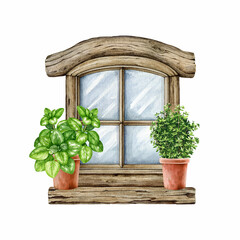 Vintage style wooden window with herbs in flower ceramic pots. Watercolor painted illustration. Hand drawn countryside house closed wooden window with oregano and thyme plants element