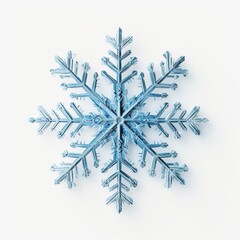 Beautiful Detailed Snowflake on White Background. Winter, Snow, Frozen
