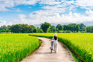 Young happy woman tourist enjoying and riding a bicycle in paddy field while traveling at Nan,...
