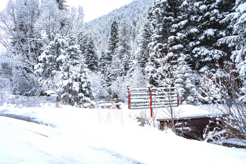 Red bridge on road over frozen stream with pine convered forests in fresh snow in rural Colorado