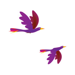 illustration of a bird