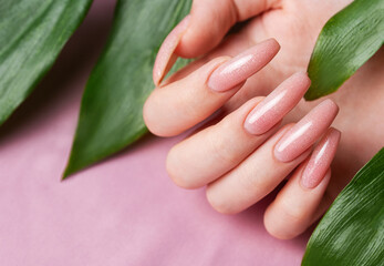 Female hands with pink nail design  hold green leaves