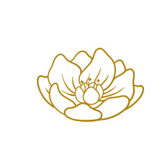 chinese new year element