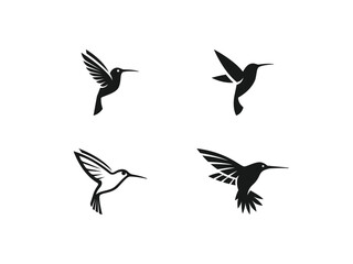 set of hummingbird logo vector icon illustration, colibri logo template