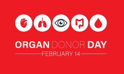Organ Donor Day observed every year on february 14. Vector health banner, flyer, poster and social medial template design.