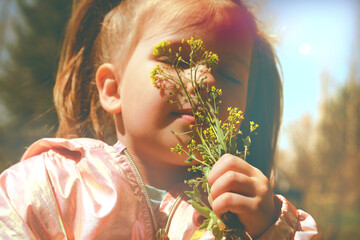 Little girl picking summer flowers in a field. Happy child enjoying nature outdoors. Sunlit  little...