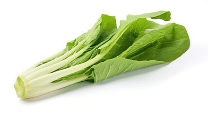 Green endive leaf isolated.. Generative AI