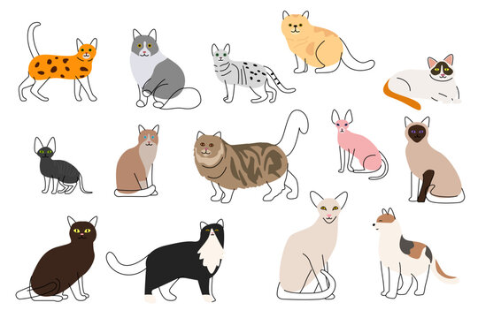 Different Cute Cat Icons Vector Illustration