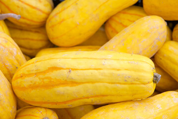 Close up on pile of Organic Hard Delicata Squash at Farmer's Market. It has characteristically a delicate rind. It is also known as peanut squash, Bohemian squash, or sweet potato squash.