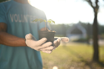Volunteer holding green plant in a pot standing on nature background with sunlight. Ecology and...