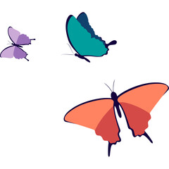 Cute Butterfly Illustration