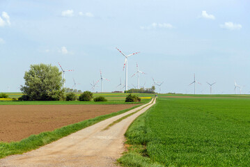 Fototapeta premium Wind turbines for electric power production in the field