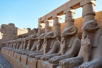 Ram-headed sphinx in Great Court of Karnak Temple. Luxor. Egypt .