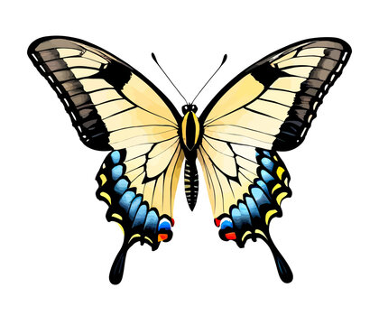 Watercolor Clipart Tiger Swallowtail Butterfly